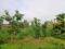 390sqm Land For Sale