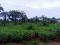 598 SQM Land Property