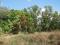 500sqm Land For Sale